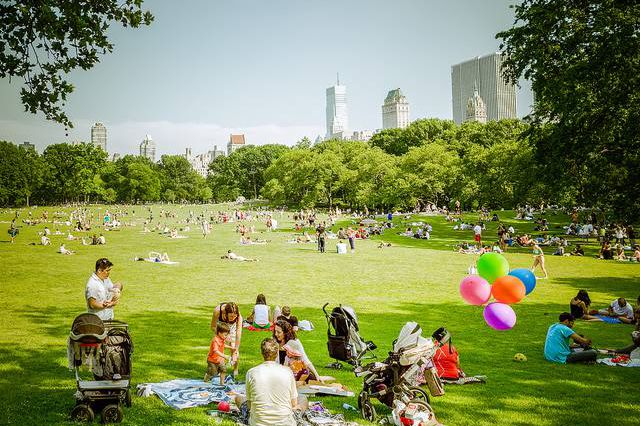 Sheep Meadow by ep_jhu on Flickr